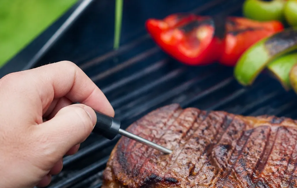Performance During Real Grilling Sessions