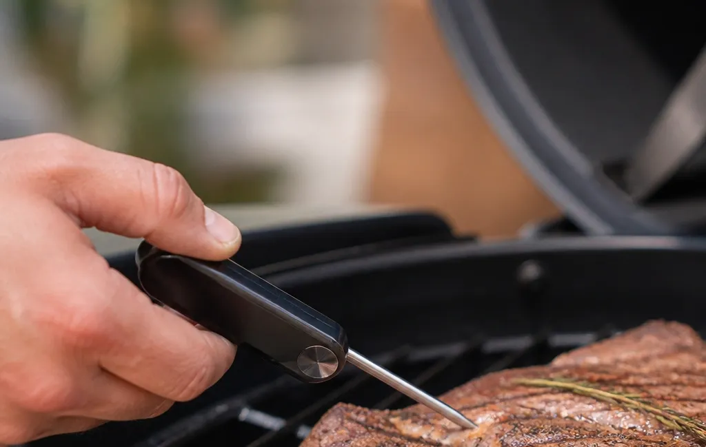 ThermoPro TP19: Built for Speed and Active Grilling