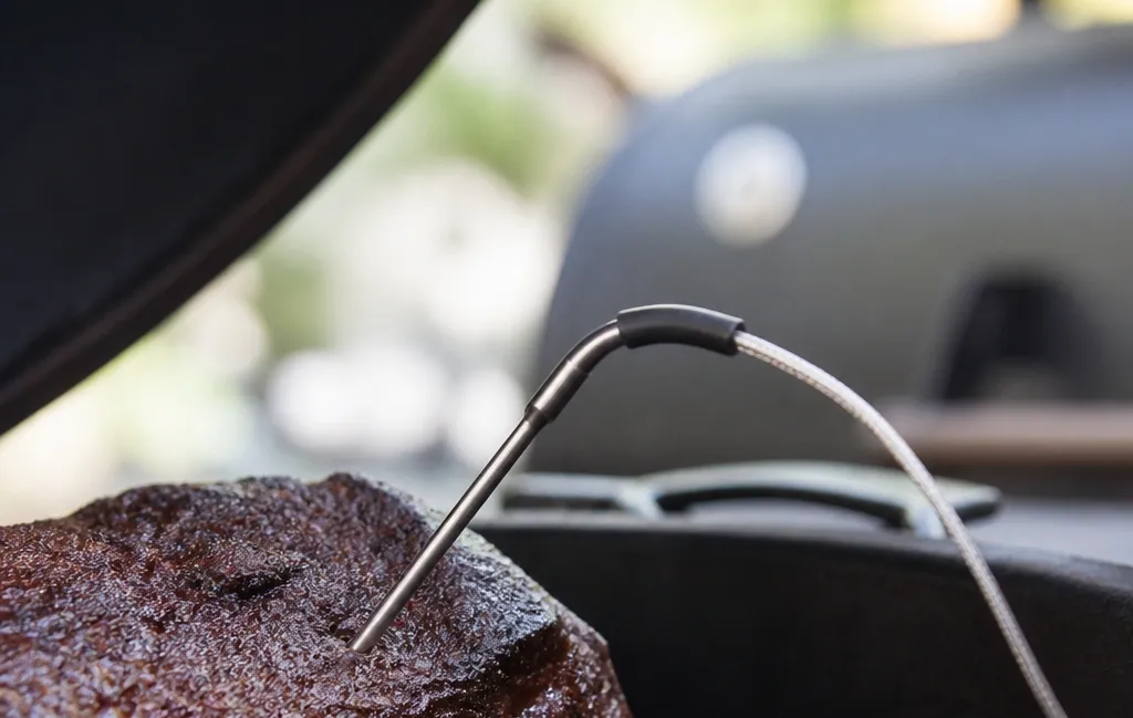 ThermoPro TP20: The Standard for Smoking and Roasting