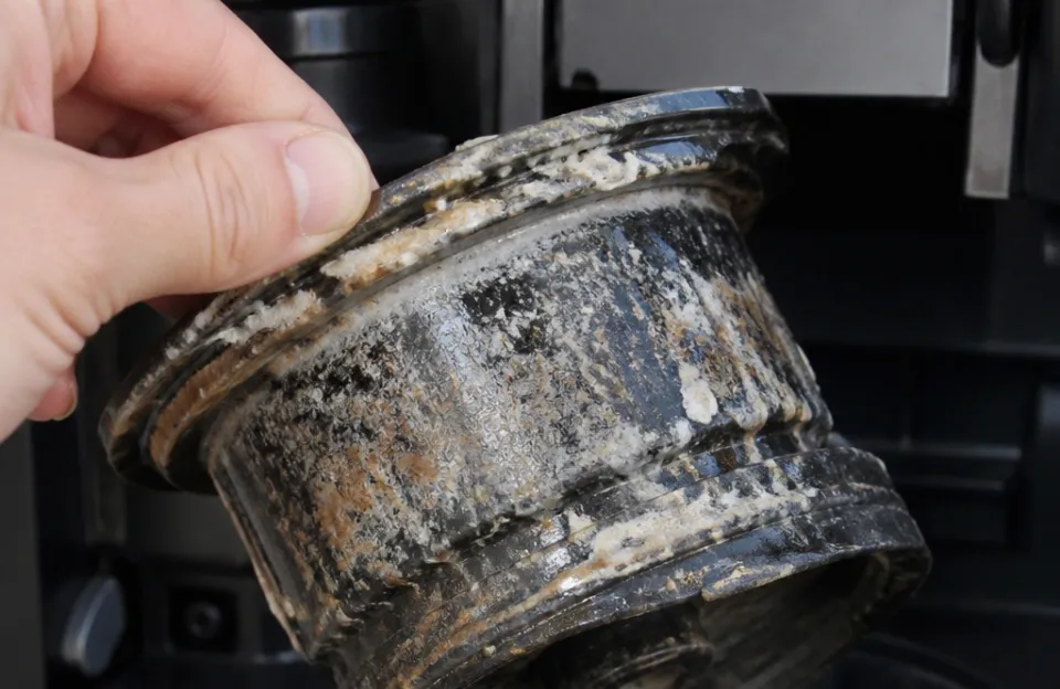 Why Mineral Buildup Ruins Your Coffee